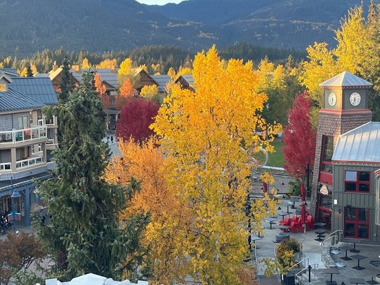 Whistler 2 Bedroom Accommodation - Whistler Town Plaza - Eagle Lodge - #3575