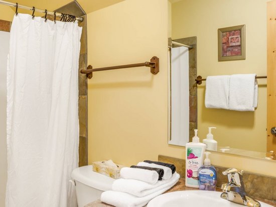 Big White 3 Bedroom Accommodation - Black Bear II - #3733