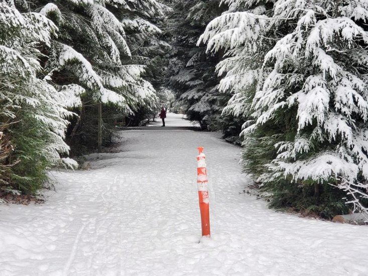 Whistler 2 Bedroom Accommodation - Aspens - #3738