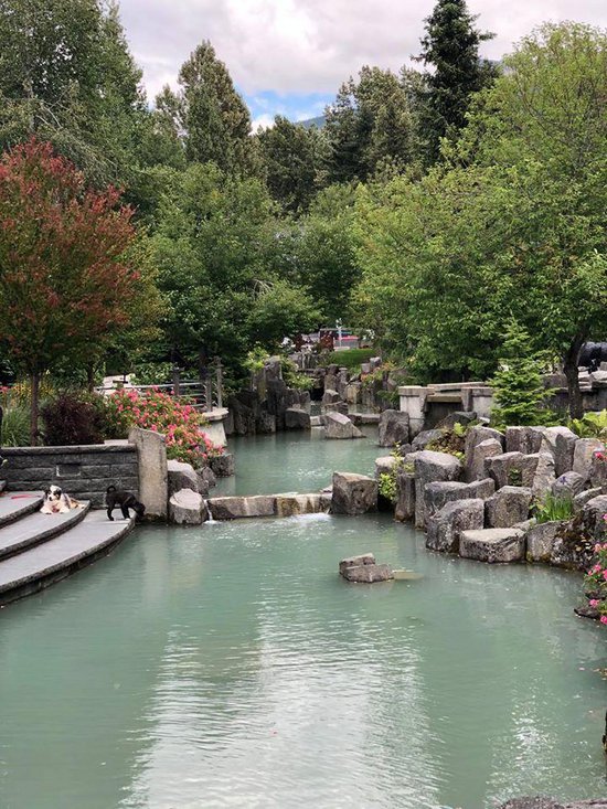 Whistler 1 Bedroom Accommodation - Gondola Village - #3796