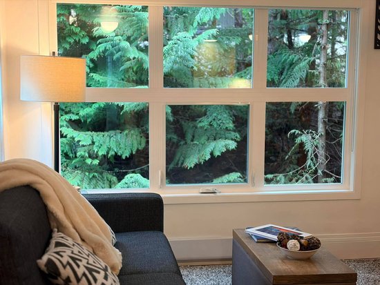 Whistler 1 Bedroom Accommodation - Gondola Village - #3796