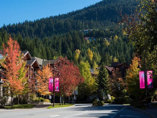Whistler 1 Bedroom Accommodation - Gondola Village - #3796