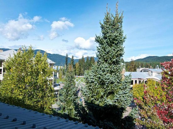 Whistler 1 Bedroom Accommodation - Whistler Town Plaza - Deer Lodge - #3800