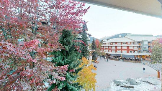 Whistler 1 Bedroom Accommodation - Whistler Town Plaza - Bear Lodge - #3804