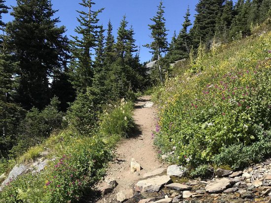 Whistler 1 Bedroom Accommodation - Aspens - #3861 Whistler 1 Bedroom Accommodation - Aspens - #3861