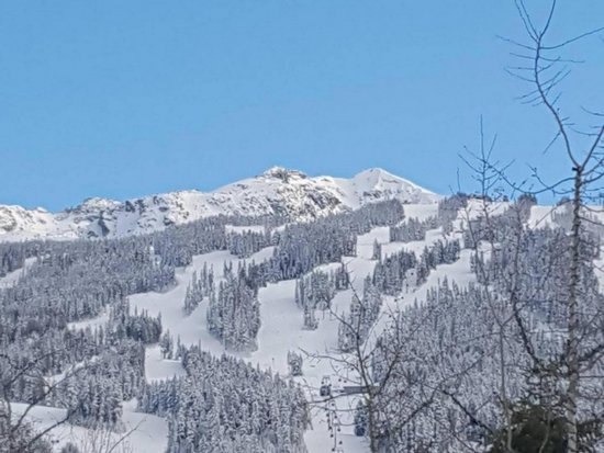 Whistler 1 Bedroom Accommodation - Stoney Creek - North Star - #3983