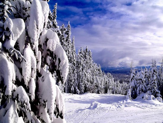 Big White 5 Bedroom Accommodation - Snow Pine Estates - #3984