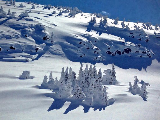 Big White 5 Bedroom Accommodation - Snow Pine Estates - #3984