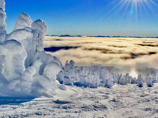 Big White 5 Bedroom Accommodation - Snow Pine Estates - #3984