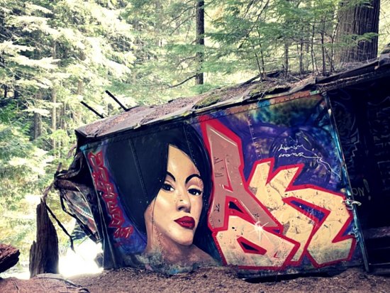 Whistler 2 Bedroom Accommodation - Stoney Creek - North Star - #3988