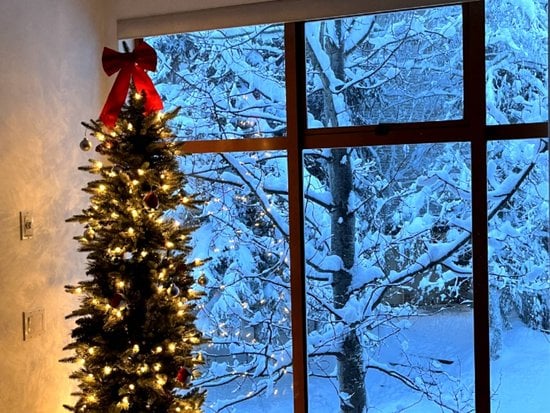 Whistler 2 Bedroom Accommodation - Stoney Creek - North Star - #3988