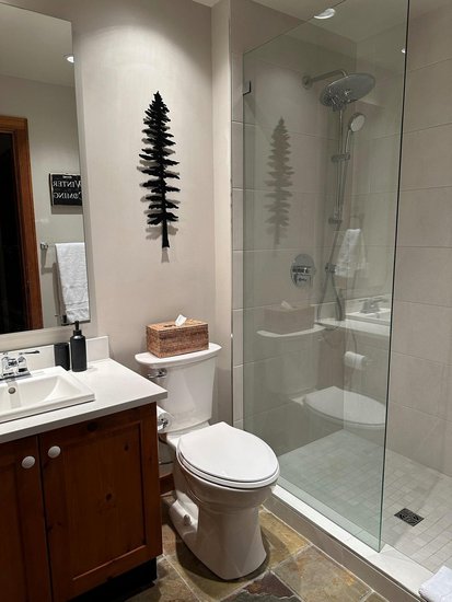 Whistler 2 Bedroom Accommodation - Treeline - #408