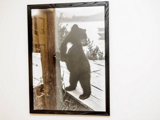 Whistler 3 Bedroom Accommodation - Forest Trails - #4318