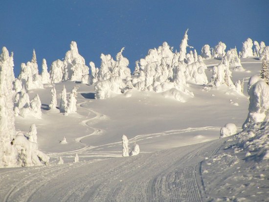 Big White 5 Bedroom Accommodation - Snow Pine Estates - #4349