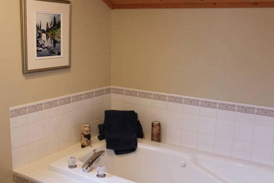 Big White 5 Bedroom Accommodation - Snow Pine Estates - #4349