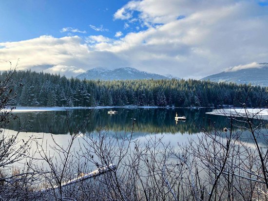 Whistler 2 Bedroom Accommodation - Snowgoose - #4392