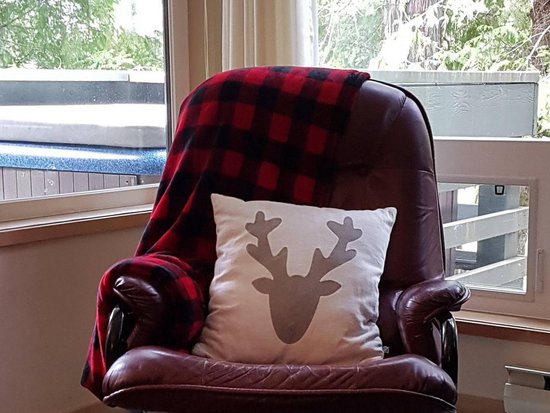 Whistler 2 Bedroom Accommodation - Snowgoose - #4392