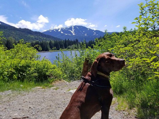 Whistler 2 Bedroom Accommodation - Snowgoose - #4392