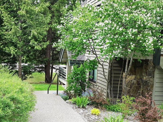 Whistler 2 Bedroom Accommodation - Snowgoose - #4392