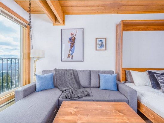 Big White Studio Accommodation - Moguls - #4437