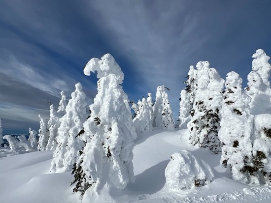 Sun Peaks 1 Bedroom Accommodation - Fireside Lodge - #4526