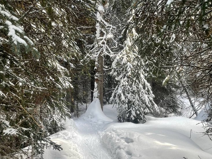 Sun Peaks 2 Bedroom Accommodation - Crystal Forest - #4543