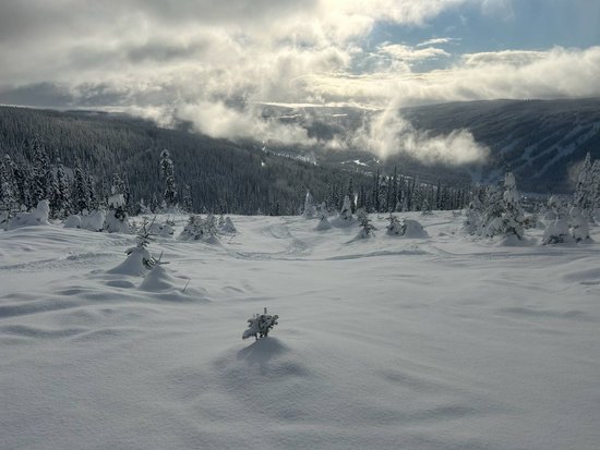 Sun Peaks 2 Bedroom Accommodation - Crystal Forest - #4543