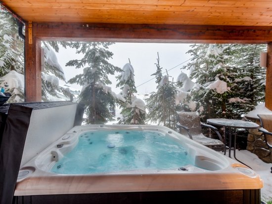 Big White 2 Bedroom Accommodation - Snowbird Lodge - #4556