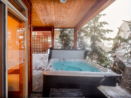 Big White 2 Bedroom Accommodation - Snowbird Lodge - #4556