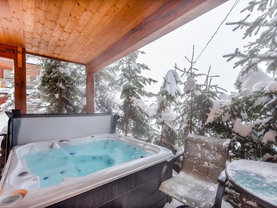 Big White 2 Bedroom Accommodation - Snowbird Lodge - #4556