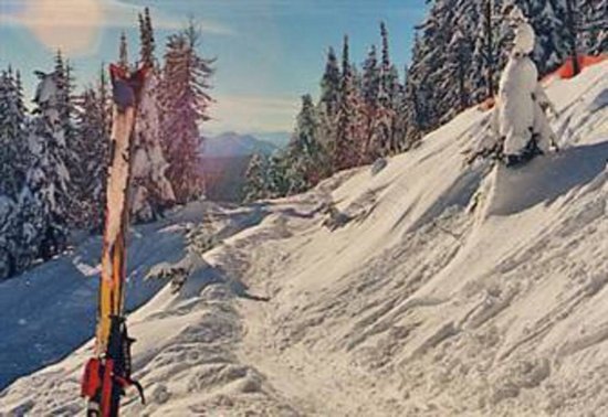 Big White 2 Bedroom Accommodation - Moguls - #4557