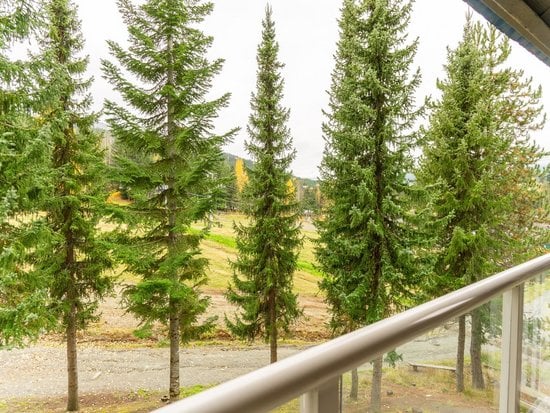 Whistler 1 Bedroom Accommodation - Aspens - #4582