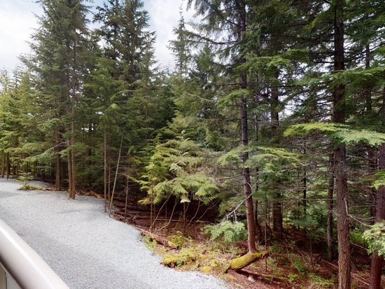 Whistler 1 Bedroom Accommodation - Aspens - #4584