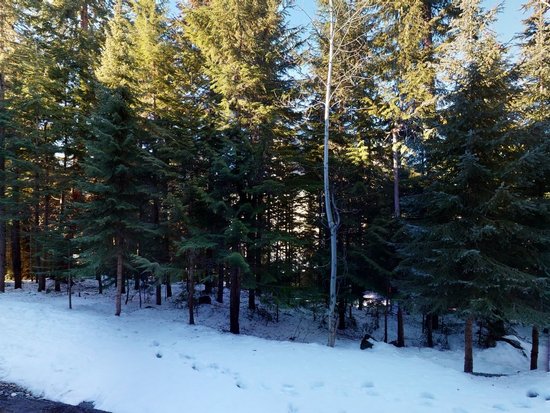 Whistler 2 Bedroom Accommodation - Aspens - #4586