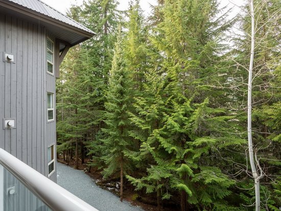 Whistler 2 Bedroom Accommodation - Aspens - #4601
