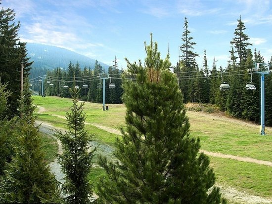 Whistler 1 Bedroom Accommodation - Aspens - #4611