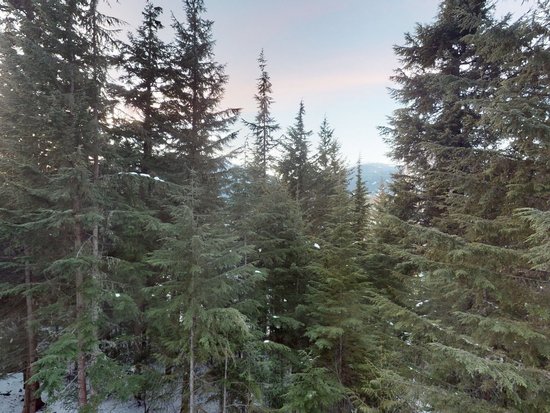 Whistler 1 Bedroom Accommodation - Aspens - #4615