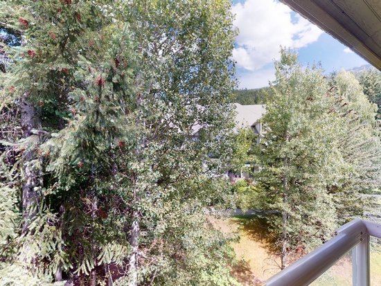 Whistler 1 Bedroom Accommodation - Aspens - #4628