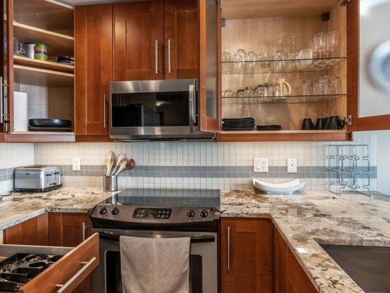 Big White 3 Bedroom Accommodation - Raven - #4654