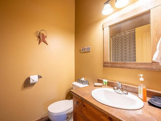 Big White 4 Bedroom Accommodation - Trappers Lodge - #4659