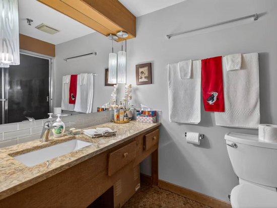 Big White 3 Bedroom Accommodation - Moguls - #4679