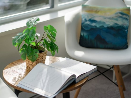 Whistler 2 Bedroom Accommodation - Whistler Town Plaza - Eagle Lodge - #4696