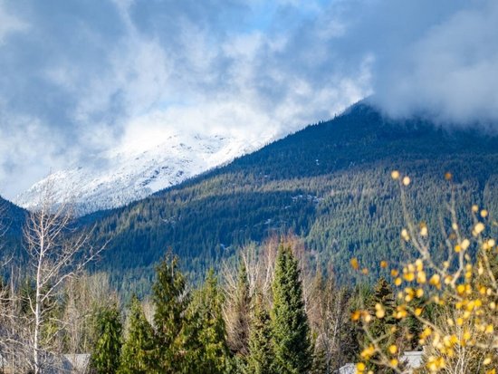 Whistler 1 Bedroom Accommodation - Marketplace Lodge - #4701