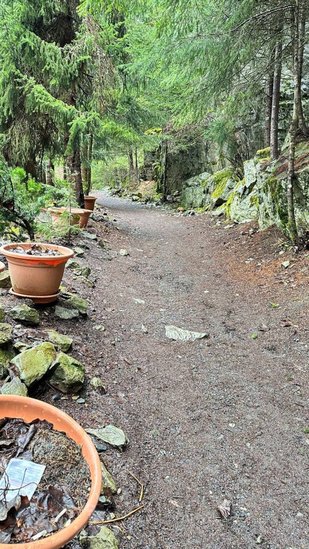 Whistler 2 Bedroom Accommodation - Highpointe Lodge - #4709