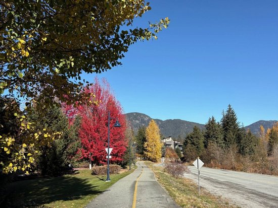 Whistler 3 Bedroom Accommodation - Montebello - #497