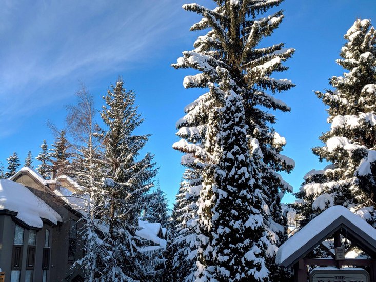 Whistler 2 Bedroom Accommodation - The Gables - #636 Whistler 2 Bedroom Accommodation - The Gables - #636