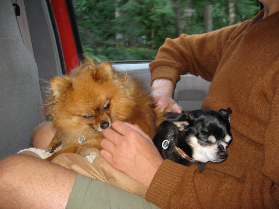 Whistler 3 Bedroom Accommodation - Northern Lights - #739