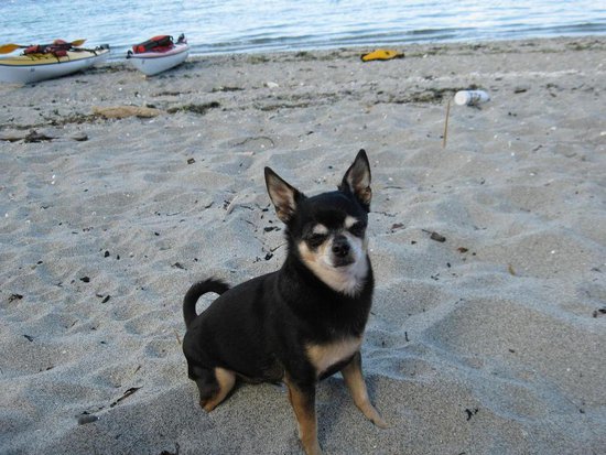 Whistler 3 Bedroom Accommodation - Northern Lights - #739