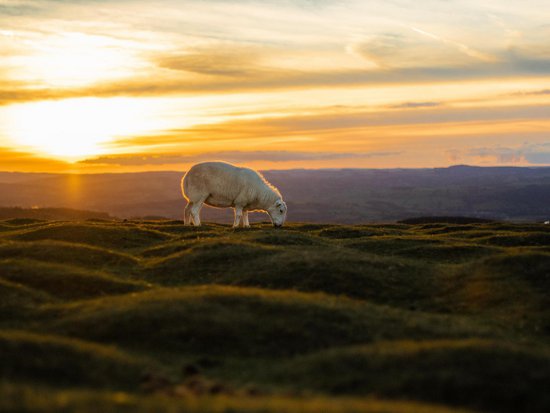 Whistler 3 Bedroom Accommodation - Northern Lights - #739