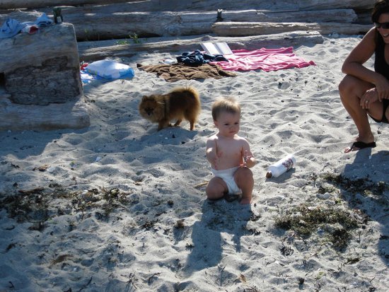 Whistler 3 Bedroom Accommodation - Northern Lights - #739